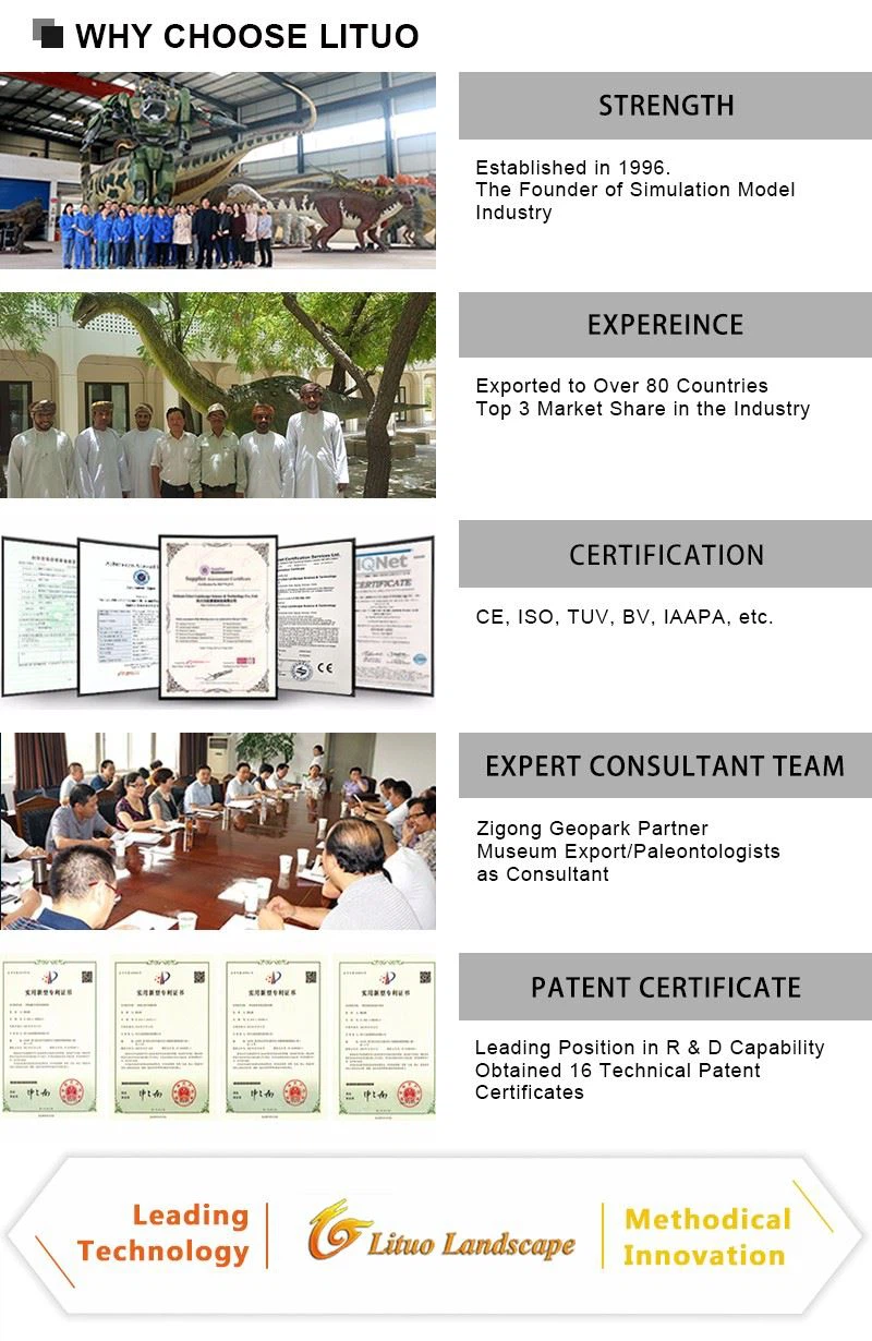 Why Choose Lituo
