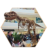 Skeleton