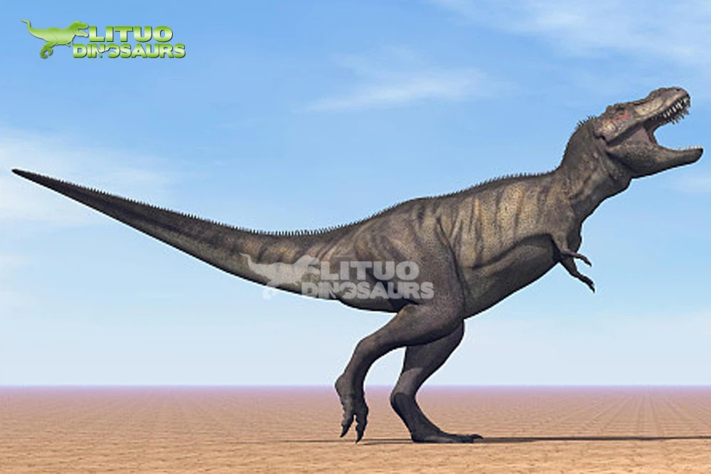 how to identify dinosaur 4 how to identify dinosaur 4
